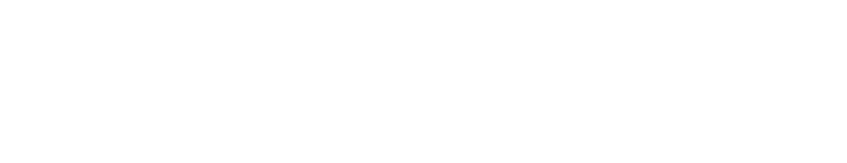logo light